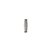 Пружина RT-5567 ROSSVIK 5567P30 (Inlet Spring, поз.30)