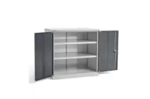 Шкаф ДиКом ВЛ-051-01 (без наполнения) Шкаф ДиКом ВЛ-051-01 (без наполнения)