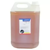 Масло для пневматического инструмента Licota LO-5000PN (5 л)